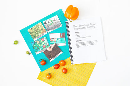 Preschool VWXYZ Letter Bundle | Vegetables, Weather, Yoga, Zoo Activities (PDF Download)