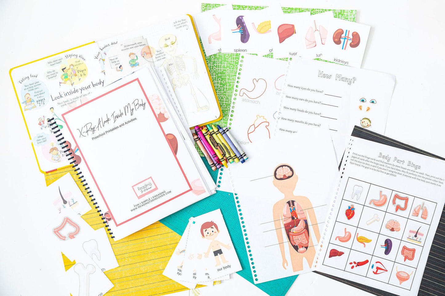 Preschool VWXYZ Letter Bundle | Vegetables, Weather, Yoga, Zoo Activities (PDF Download)