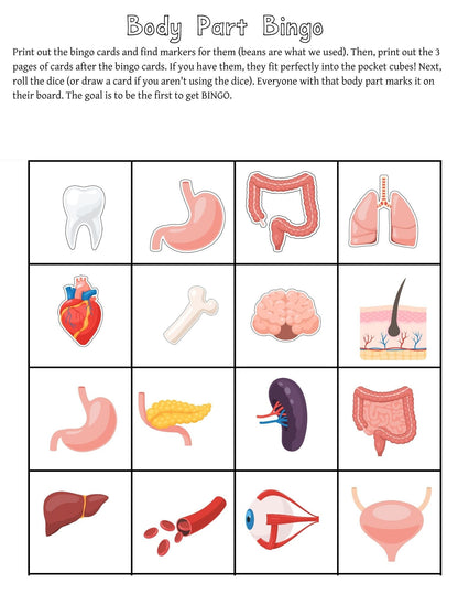 Human Body Preschool Activities | Anatomy Toddler Curriculum (PDF Download)