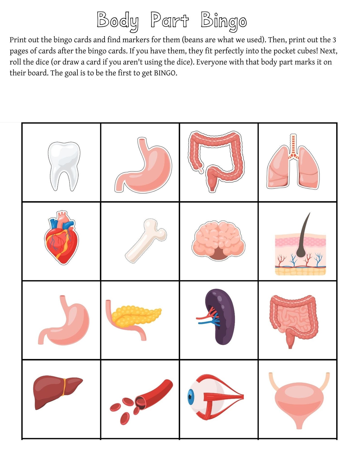 Human Body Preschool Activities | Anatomy Toddler Curriculum (PDF Download)