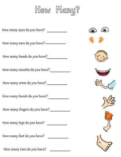 Human Body Preschool Activities | Anatomy Toddler Curriculum (PDF Download)