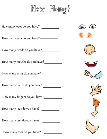 Human Body Preschool Activities | Anatomy Toddler Curriculum (PDF Download)