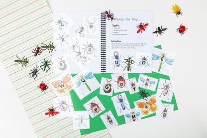 Bug Preschool Activity Pack | Letter B Coloring Pages (Digital Download)
