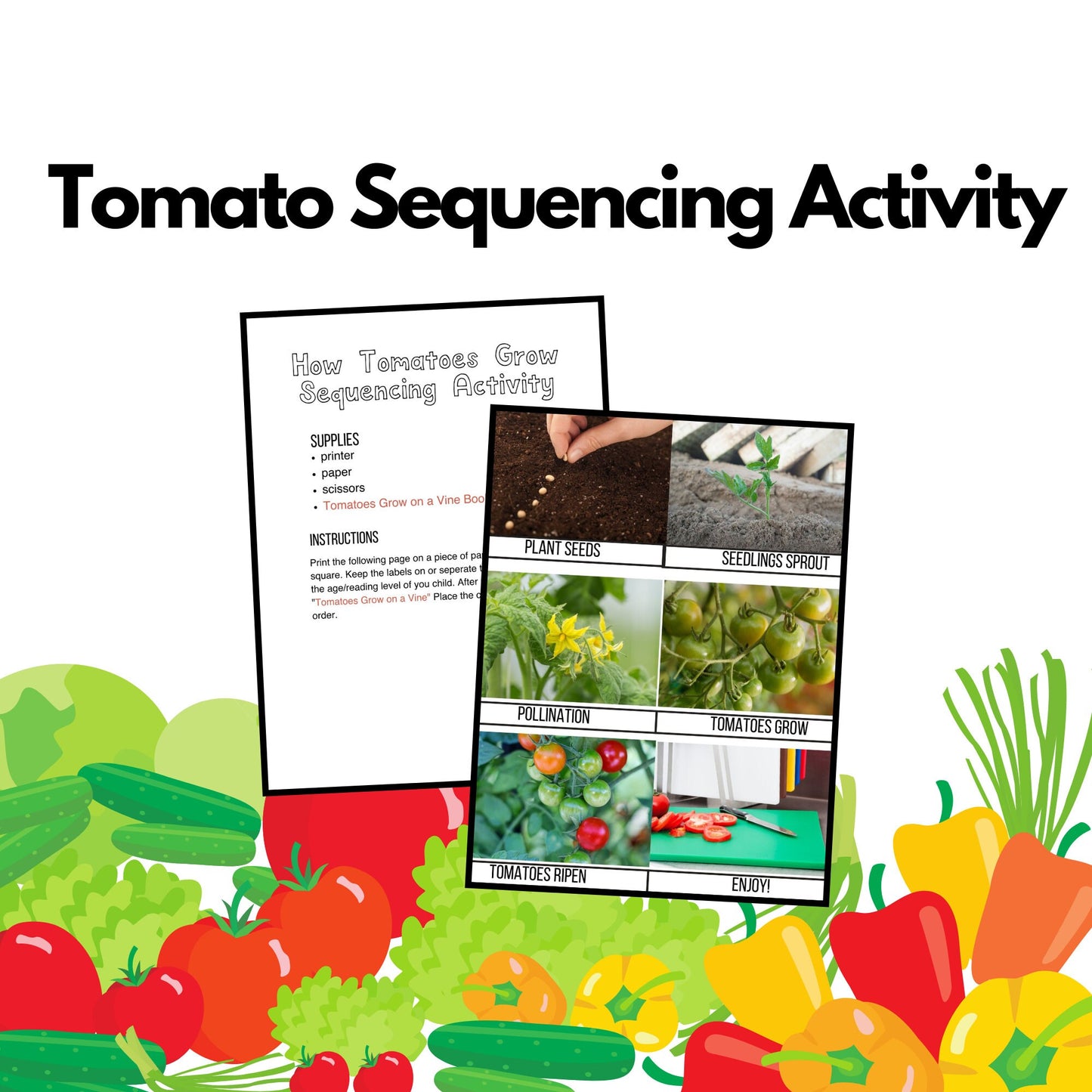 Vegetables Preschool Activity Pack | Healthy Eating Toddler Curriculum (PDF Download)