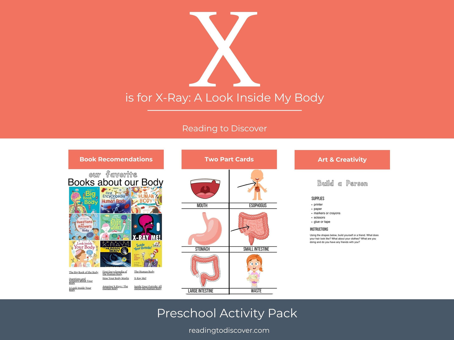 Human Body Preschool Activities | Anatomy Toddler Curriculum (PDF Download)
