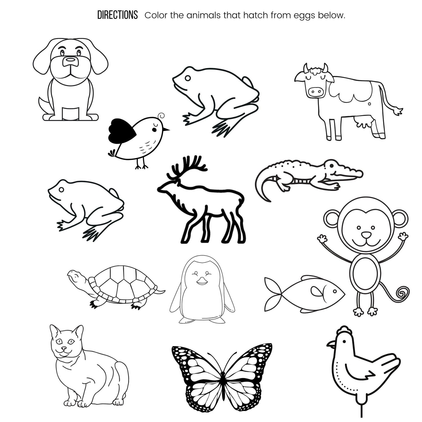 Preschool Letter E Egg Activities | Toddler Homeschool Printables (PDF Download)