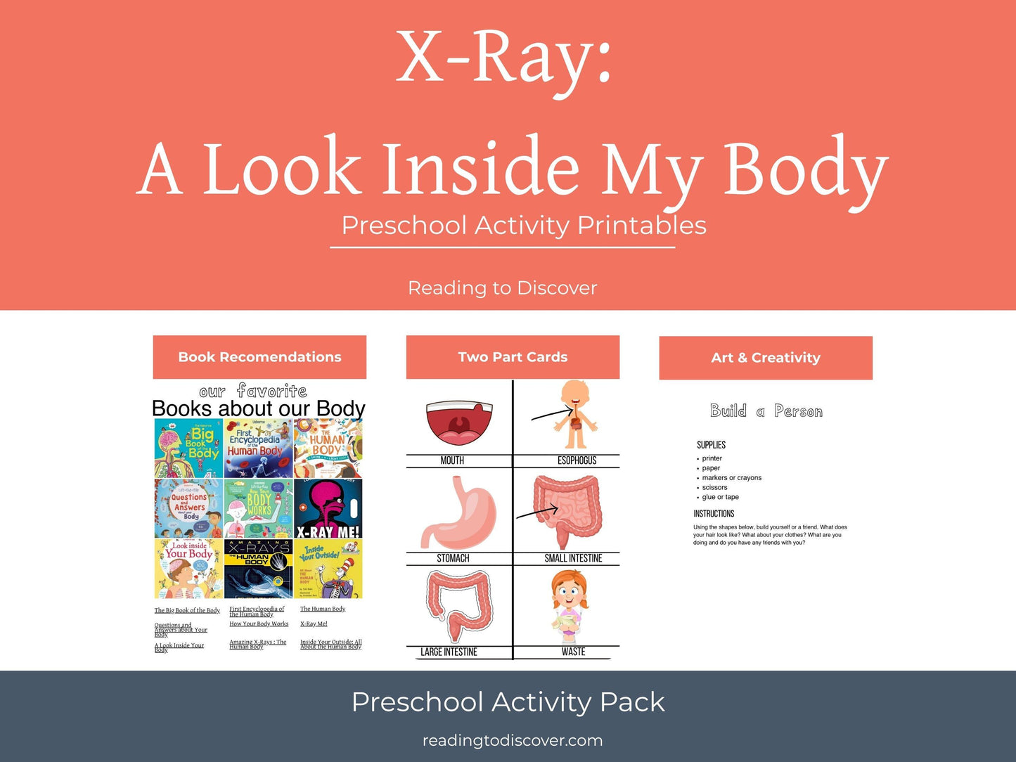 Human Body Preschool Activities | Anatomy Toddler Curriculum (PDF Download)