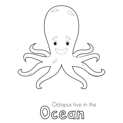Letter O Preschool Activities | Ocean Theme Sea Animals (PDF Download)